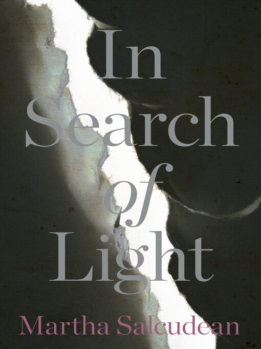 Title details for In Search of Light by Martha Salcudean - Available